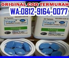 TOKO VIAGRA ASLI 0812.9164.0077 JUAL VIAGRA DI PLUIT JAKARTA